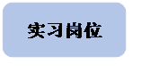 矩形: 圆角: 实习岗位 